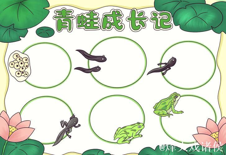 从“小蝌蚪”到“窝蝌蚪”：探索奇妙生态世界